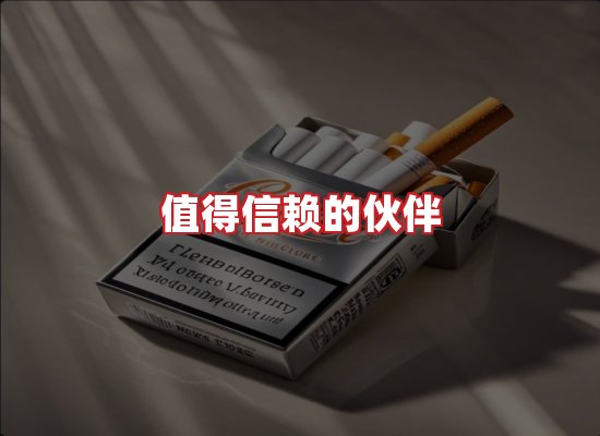 专业团队